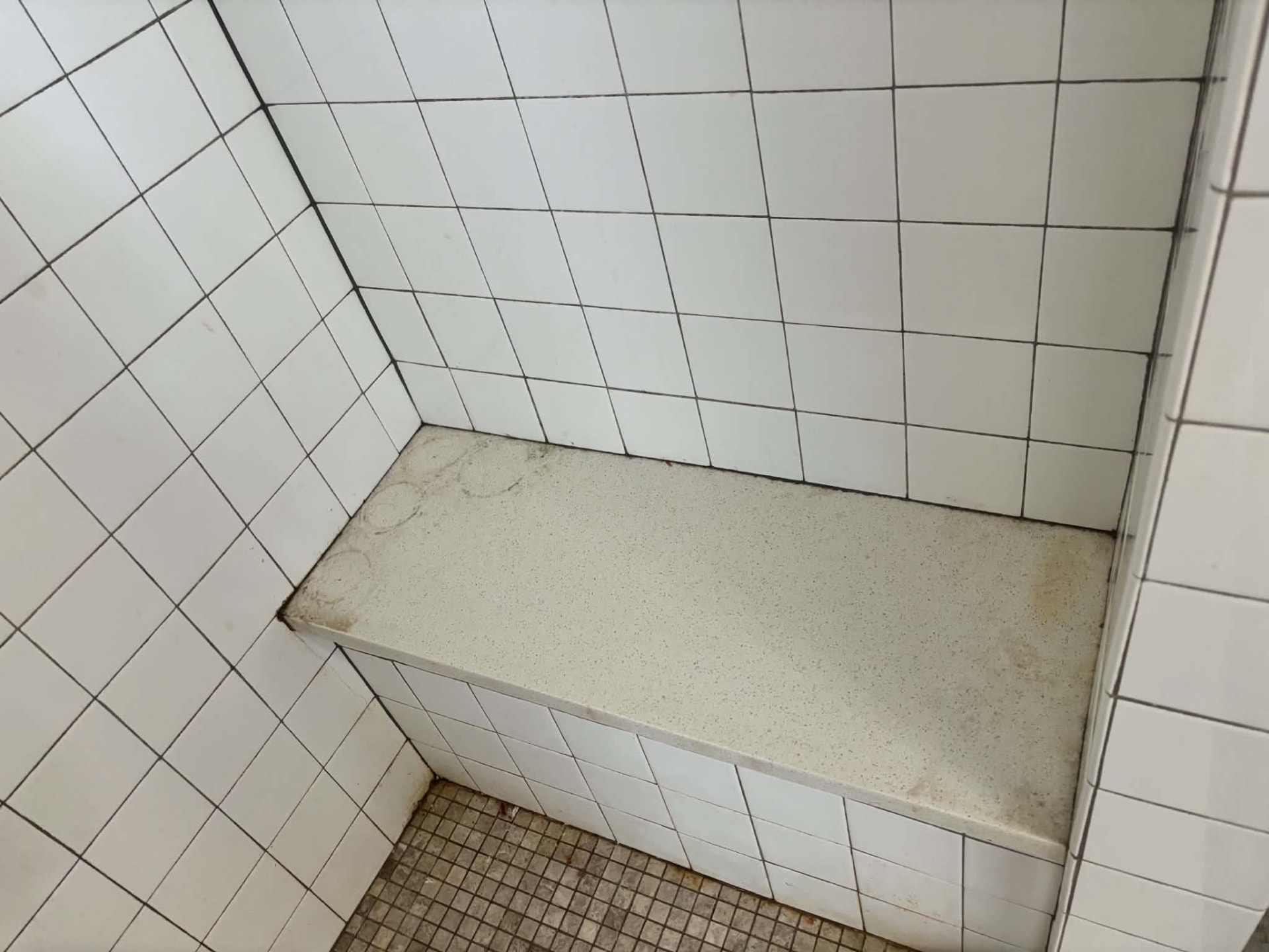Shower bench & shelves before cleaning